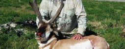 Shot it with the Knight Bighorn 50cal. at 157 yards during short range weapon season in Idaho.