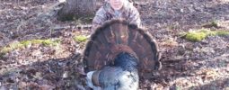My son jordan killed this gobbler at 57 yards. 12 inch beard 1 1/2 spurs. This is his fourth bird with the tk 2000.