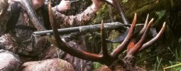 Hunted this bull in the early hunt in Washington state. It's my first kill with my new knight muzzleloader.