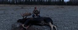 Bull moose who I snuck up to 35 yards on while he was pushing around a younger bull in the field.

Easy shot in the neck  he hit the ground before the smoke cleared.